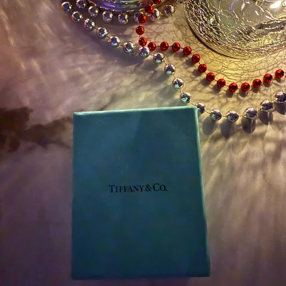 Tiffany & Co. Turquoise Gift Box